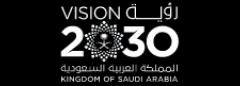 saudi vision